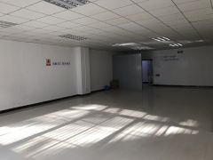 西丽地铁口附近 450平办公研发出租看房方便